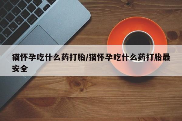 米非米索购买猫怀孕吃什么药打胎/猫怀孕吃什么药打胎最安全