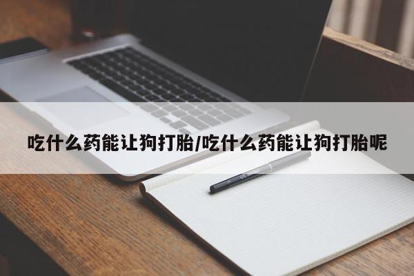 米非米索购买吃什么药能让狗打胎/吃什么药能让狗打胎呢