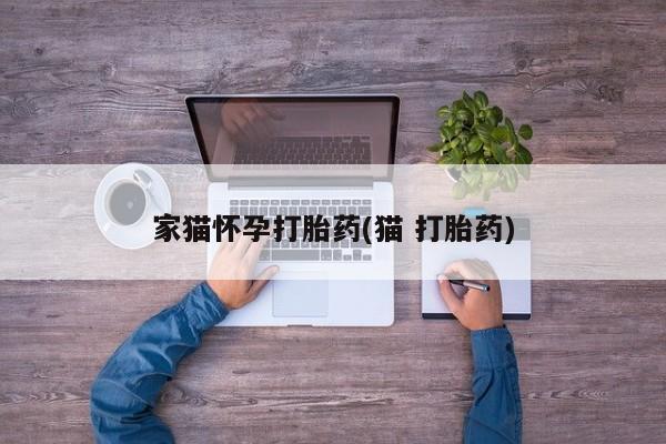 米非米索购买家猫怀孕打胎药(猫 打胎药)